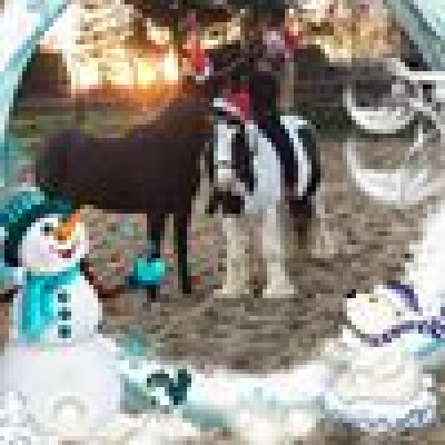 Robin  is looking for a Rental Property / Apartment in Alkmaar