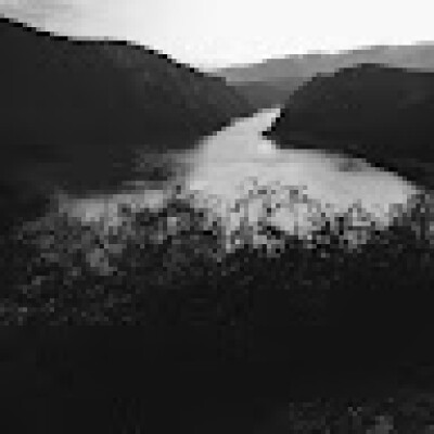 Dumitru  zoekt een Kamer in Alkmaar